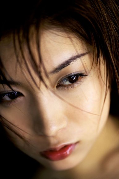 半岛·官方站线登入页面